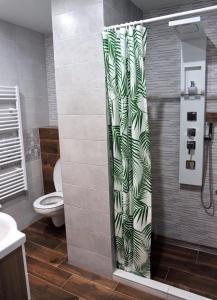 a bathroom with a toilet and a shower curtain at Lively Debrecen in Debrecen