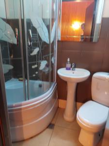 a bathroom with a shower and a toilet and a sink at Pensiune Casa Barcaru in Azuga +28 photos