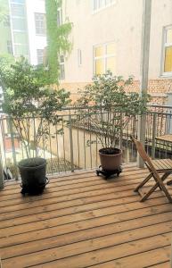 two potted trees sitting on top of a deck at Ruhige Art-Garconniere mit Balkon in Vienna