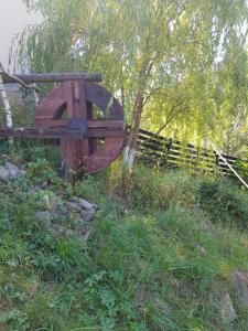 Afbeelding uit fotogalerij van Pensiunea Daria Putna in Putna +17 foto's