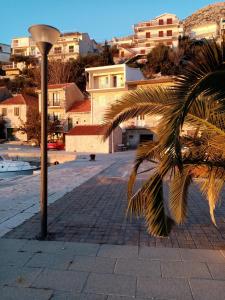 a palm tree sitting next to a street light at Jurlinka in Živogošće