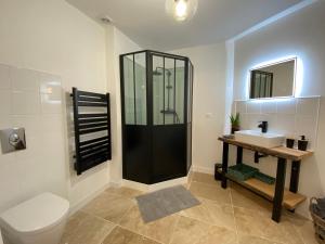 a bathroom with a shower and a toilet and a sink at La Parenthèse du Dahu Gîte de 6 pers in Métabief