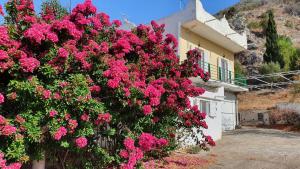 un cespuglio di fiori rosa di fronte a una casa di Villa Dunes 350m from the sandy beach a Kalogria