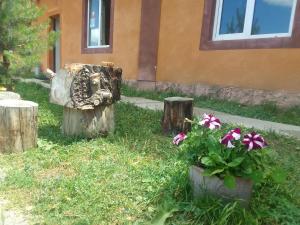 Aed väljaspool majutusasutust Sevan Garden Complex