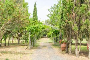 A garden outside Agriturismo Le Biricoccole