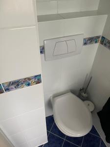 a bathroom with a white toilet in a room at Landvilla Dagobert in Malsfeld