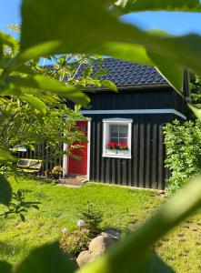a black house with a red door and a window at Domek TRZY BABY in Dołgie