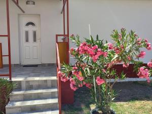 Vonkajšia záhrada v ubytovaní Rákos-patak Family House Garden & Free Parking