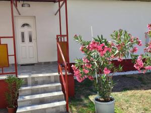 Vonkajšia záhrada v ubytovaní Rákos-patak Family House Garden & Free Parking