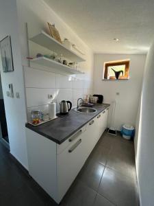 Kuchyňa alebo kuchynka v ubytovaní Guesthouse Hodak