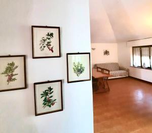 a living room with four framed pictures on a wall at Pineta sul mare S'Ena e Sa Chitta in Santa Lucia