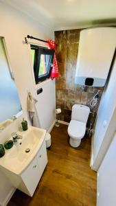 Łazienka z białą toaletą i umywalką w obiekcie Mar&Vi w mieście Batyżowice