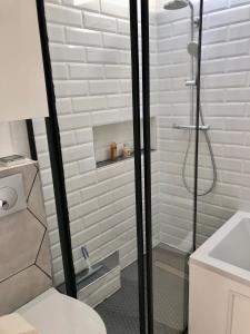 a bathroom with a shower with a toilet and a sink at Appartement sur les toits, très jolie vue Provence in Gréoux-les-Bains