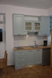 Kuchyň nebo kuchyňský kout v ubytování Laskarina Apartments