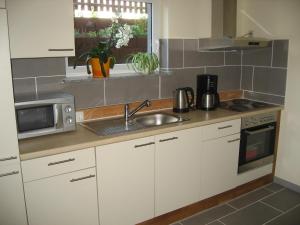 Küche/Küchenzeile in der Unterkunft Ferienwohnung Jena-Zoellnitz