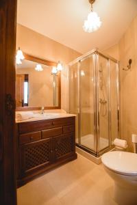 a bathroom with a shower and a sink and a toilet at La pata del buey in Navamorisca