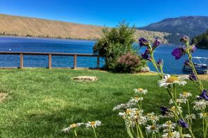 a field of grass with flowers in front of a body of water at The Treehouse in Joseph