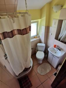 a bathroom with a shower curtain and a toilet and sink at Dom na Mazurach Gąsiorowo in Purda