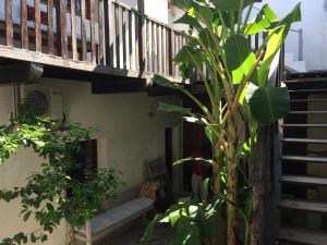 a house with a staircase and a plant at Casa Fabula in Ilha de Moçambique