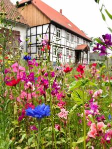 un jardín con flores frente a un edificio en Landhaus Weserbergland - Elsa en Vahlbruch