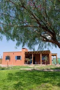 a house with a tree in front of it at casa de campo :AHICITO in Ciudad Lujan de Cuyo