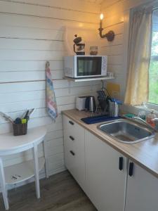 a small kitchen with a sink and a microwave at Hulduhólar Cabin - The Elf Hills. in Selfoss