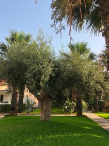 Vonkajšia záhrada v ubytovaní LAS OLAS Vera Natura NATURISTA