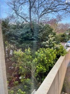 a garden with bushes and trees and a fence at Les Logis de Paray Appartement 202 in Paray-le-Monial