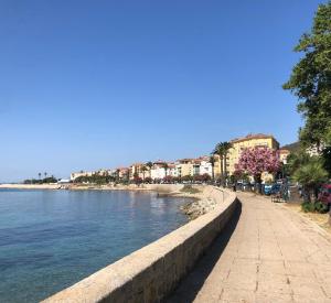a sidewalk next to a body of water with buildings at Ajaccio : appartement centre historique in Ajaccio
