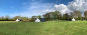 a group of tents in a large grass field at Bell tent 3 Glyncoch isaf farm in Llwyn-Dafydd