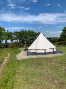 a white tent in the middle of a field at Bell tent 3 Glyncoch isaf farm in Llwyn-Dafydd +25 photos