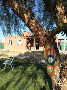 Un árbol con un montón de adornos. en casa de campo :AHICITO en Luján de Cuyo