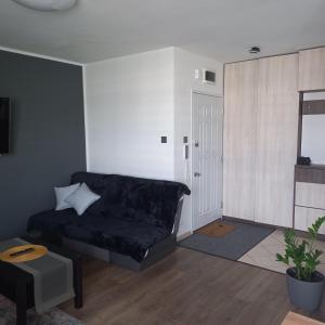 a living room with a black couch and a door at Apartament Plater in Pruszcz Gdański