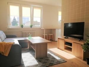 salon z kanapą i telewizorem w obiekcie MARINA Brzeźno Apartment przy plaży w Gdańsku