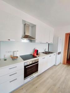 Kuchyň nebo kuchyňský kout v ubytování Attico Panoramico Baunei