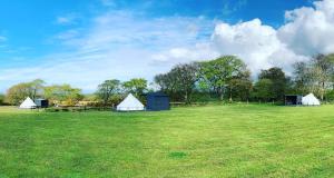 LlangrannogBell tent 1 Glyncoch isaf farm的一群在大草场的帐篷 更多17张照片