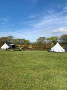 two white tents in a field of grass at Bell tent 1 Glyncoch isaf farm in Llwyn-Dafydd