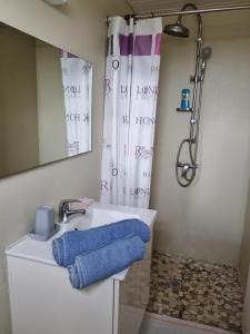 Koupelna v ubytování Casabèlè