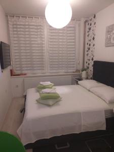 - une chambre avec 2 lits et une grande fenêtre dans l'établissement Apartments Krapinske Toplice Krtak Biba, à Krapinske Toplice