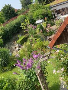 a garden with colorful flowers and a wooden bench at Auszeit in Hürup +12 photos