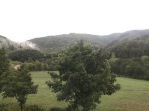 un campo verde con un árbol y montañas en el fondo en Les Plos, gîte cosy, en Le Vigan