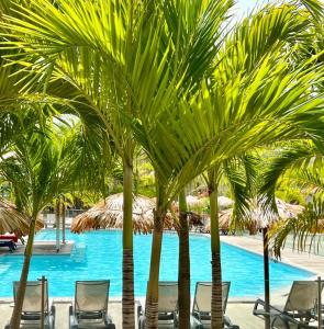 a group of chairs and palm trees next to a swimming pool at EAST KEYS - East Cottages in Le Vauclin