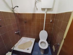 a small bathroom with a toilet and a sink at Apartman Djenovici in Herceg-Novi