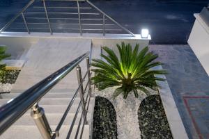 una escalera con una planta en el lateral de una casa en Blue Wave Luxury Suites, en Nea Iraklitsa