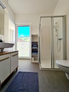 een badkamer met een douche en een wastafel bij Beim Lanner - Franz in Mondsee