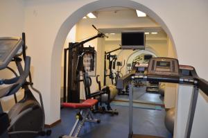 Het fitnesscentrum en/of fitnessfaciliteiten van Hotel Mozart