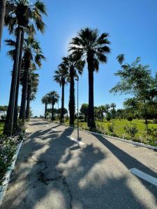een weg met palmbomen aan de zijkant bij Brand New Apartament Durres in Durrës