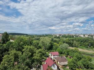 - une vue aérienne sur une maison avec des arbres et une rivière dans l'établissement СВІТЛО ЦІЛОДОБОВО Просторі апартаменти біля гідропарку Топільче, à Ternopil