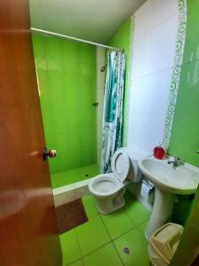 a green bathroom with a toilet and a sink at Departamento amoblado en Arequipa, Yanahuara in Yanahuara