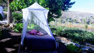 Bett in einem Zelt im Garten in der Unterkunft Casa Finca Doñana in Arucas